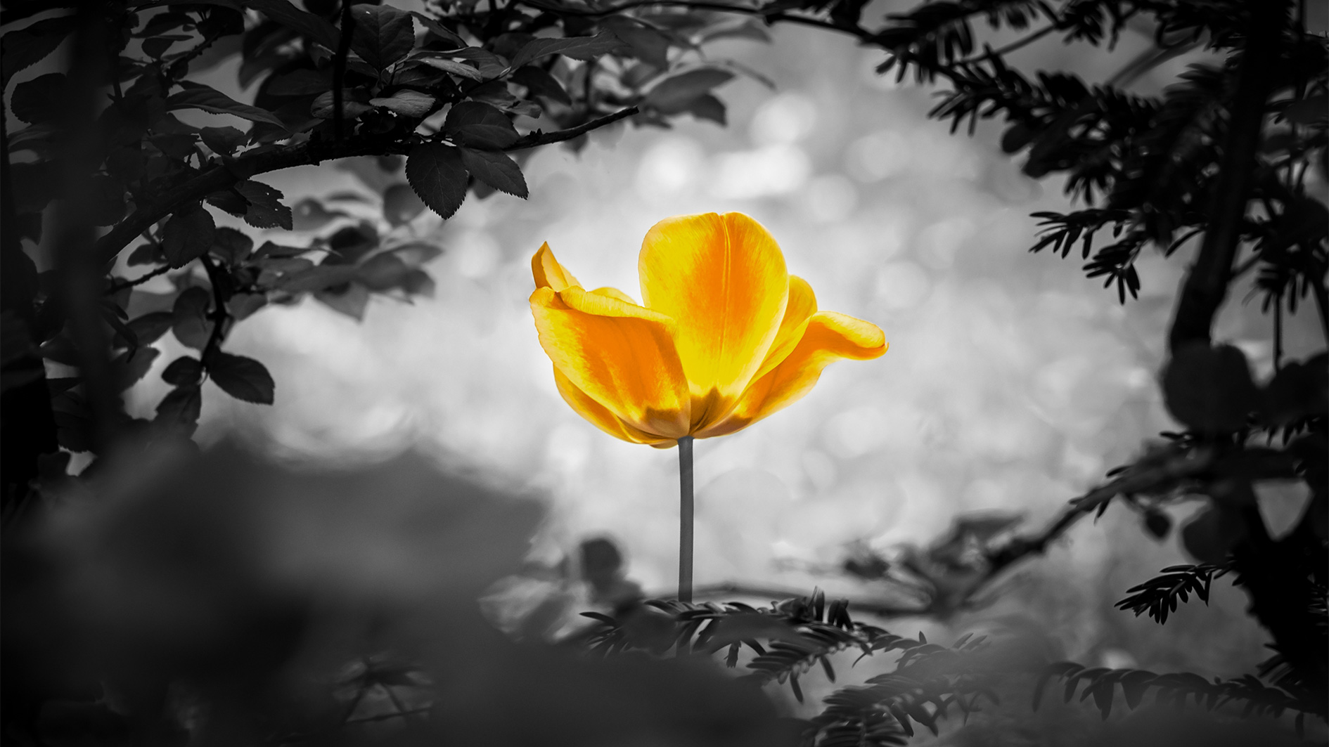 Explanation of the Duʿāʾ for Grief and Sorrow - troid.org | Digital Daʿwah