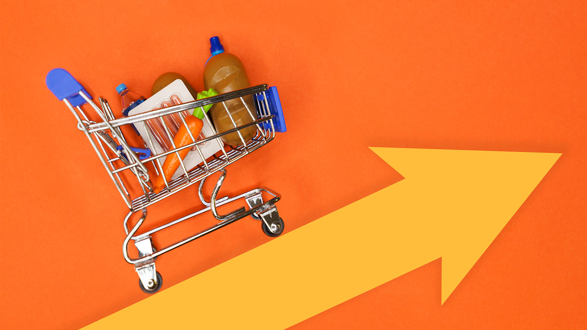 Coping with Price Inflation and the Rising Cost of Living: An Islamic ...