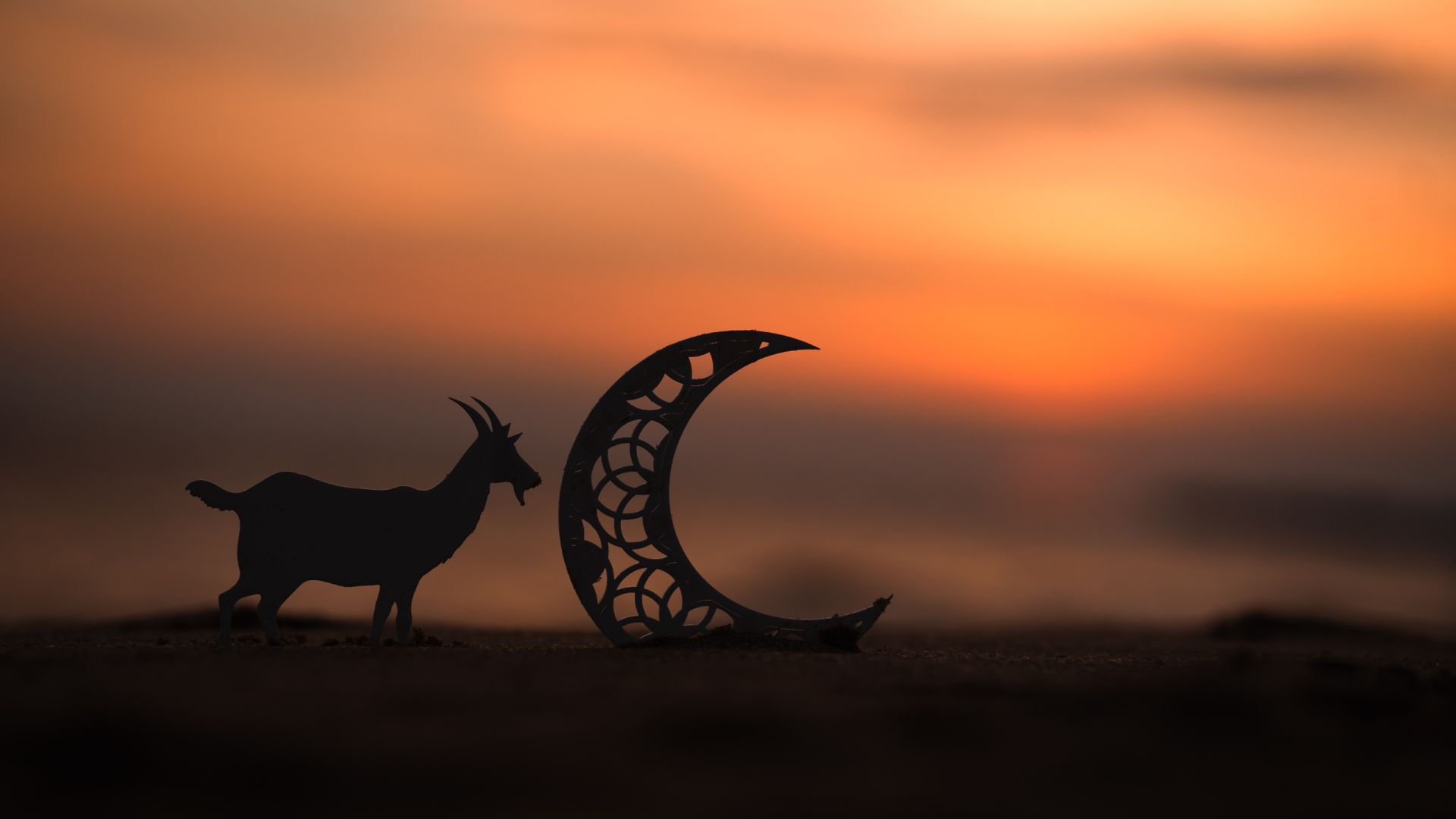 wp-content/uploads/2026/08/theislamicobligationofdisplayingkindnesstoanimals-intro.jpg