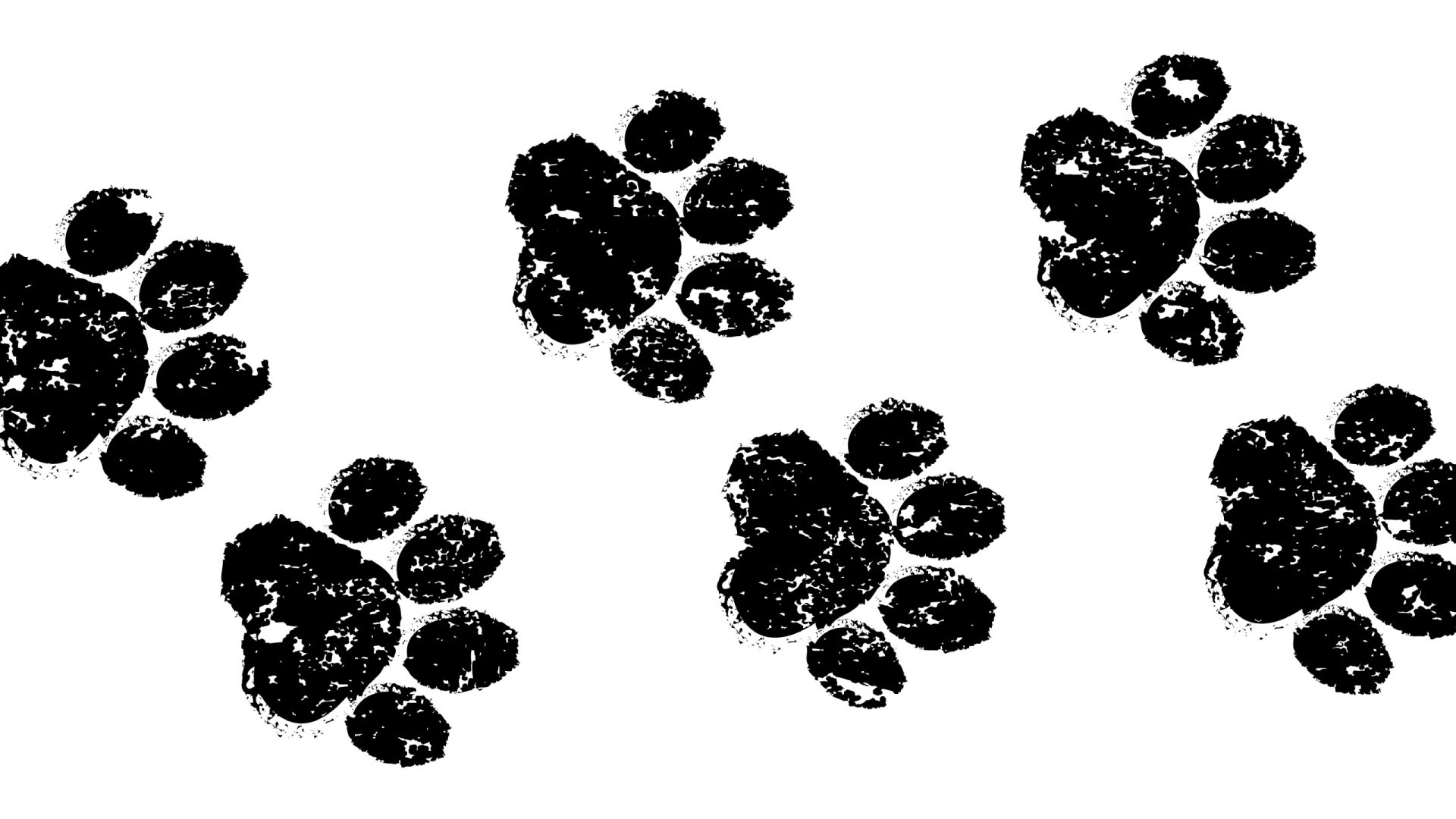 wp-content/uploads/2026/08/islamicobligationofkindnesstoanimals-intro.jpg